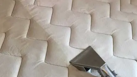 ΒΙΟΛΟΓΙΚΟΣ ΚΑΘΑΡΙΣΜΟΣ ΣΤΡΩΜΑΤΩΝ